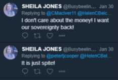 Twitter - Brexit spite 2